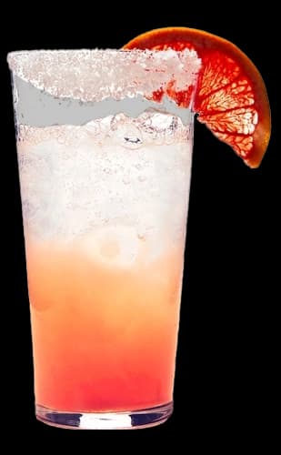 Paloma